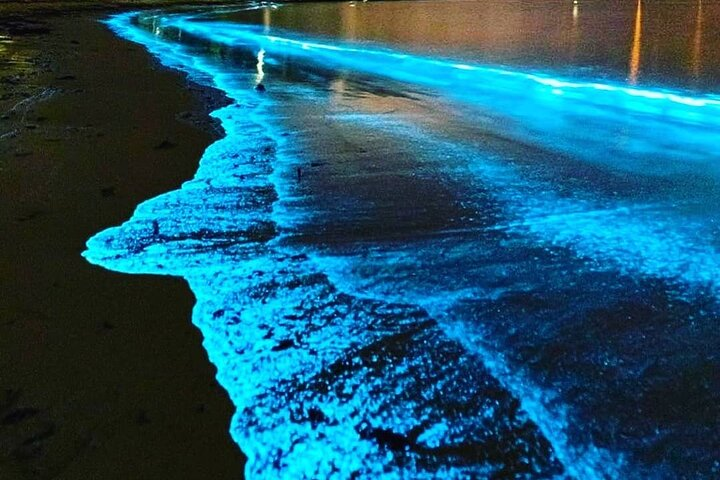 Titusville: Bioluminescence Rafting Tour in Wildlife Refuge - Photo 1 of 2